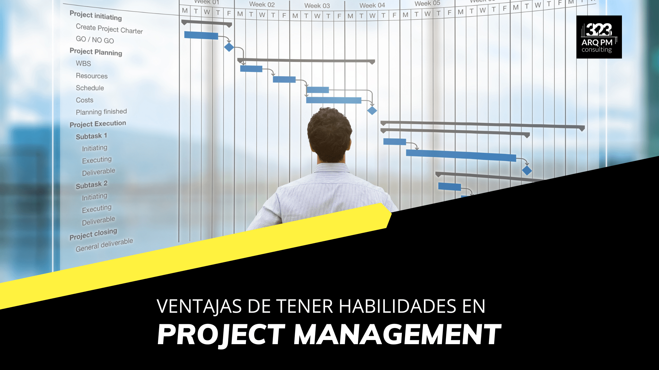 Habilidades en Project Management